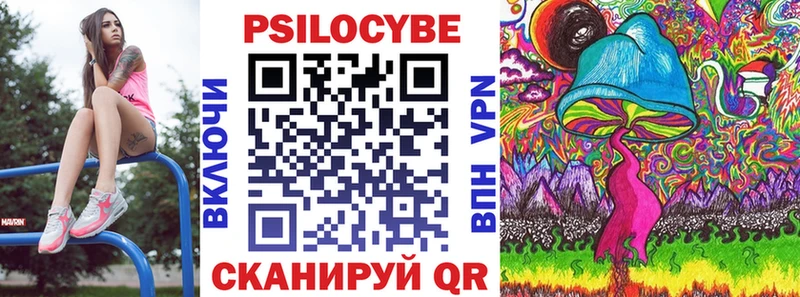 Псилоцибиновые грибы Cubensis  Белёв 