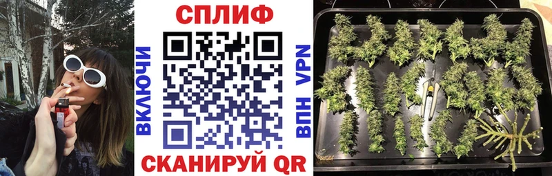 МАРИХУАНА OG Kush  Белёв 